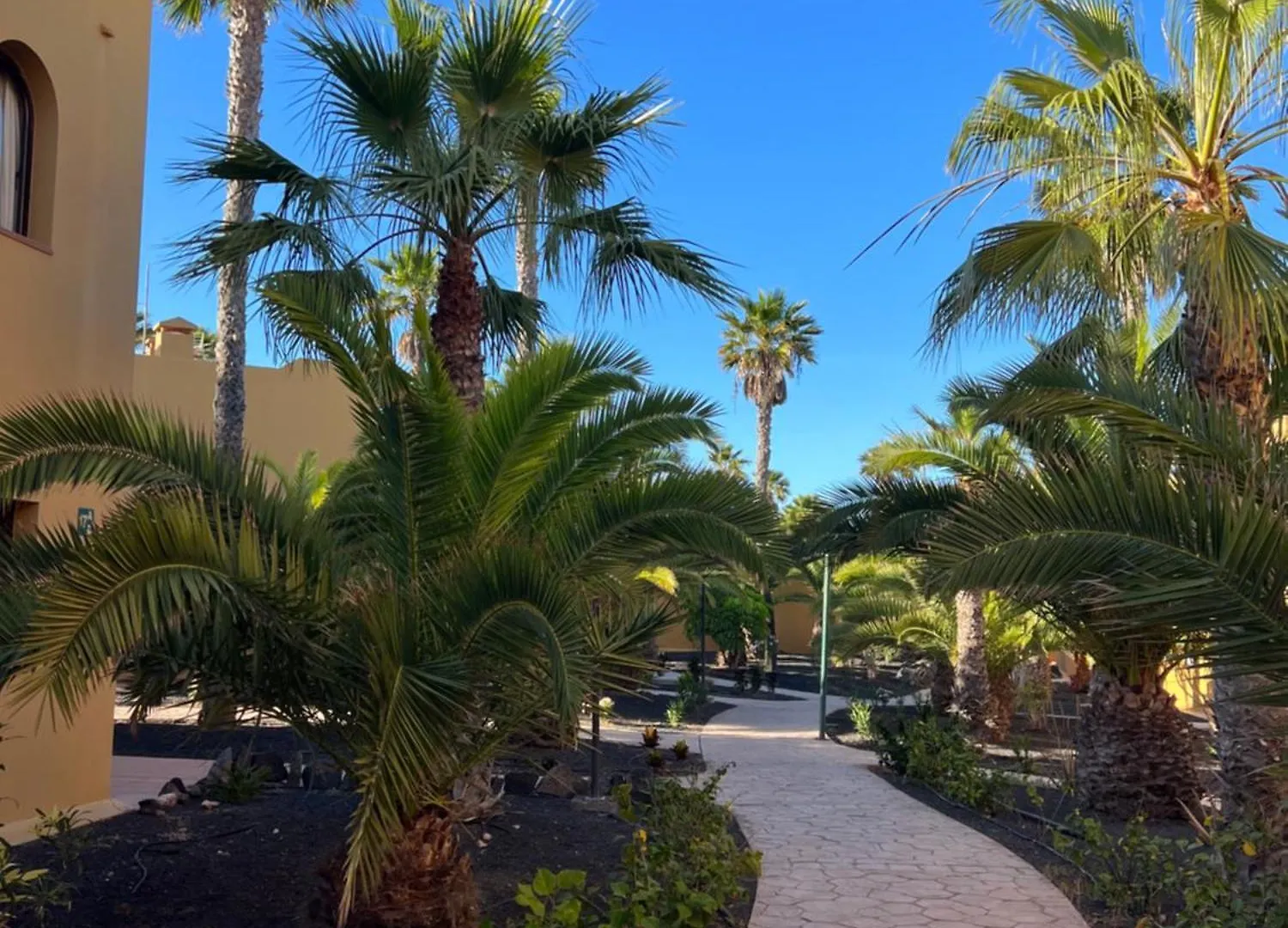 Casa De Leon Apartman Corralejo 0*,